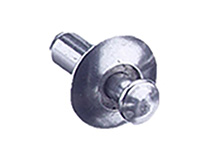 Rivets