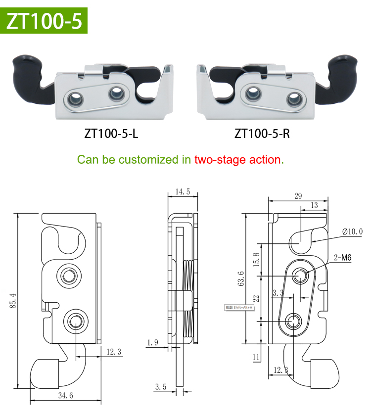 ZT100-5_01.jpg